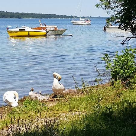 Ferienwohnung Am Schweriner See Raben Steinfeld Екстериор снимка