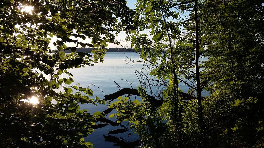 Ferienwohnung Am Schweriner See Raben Steinfeld Екстериор снимка