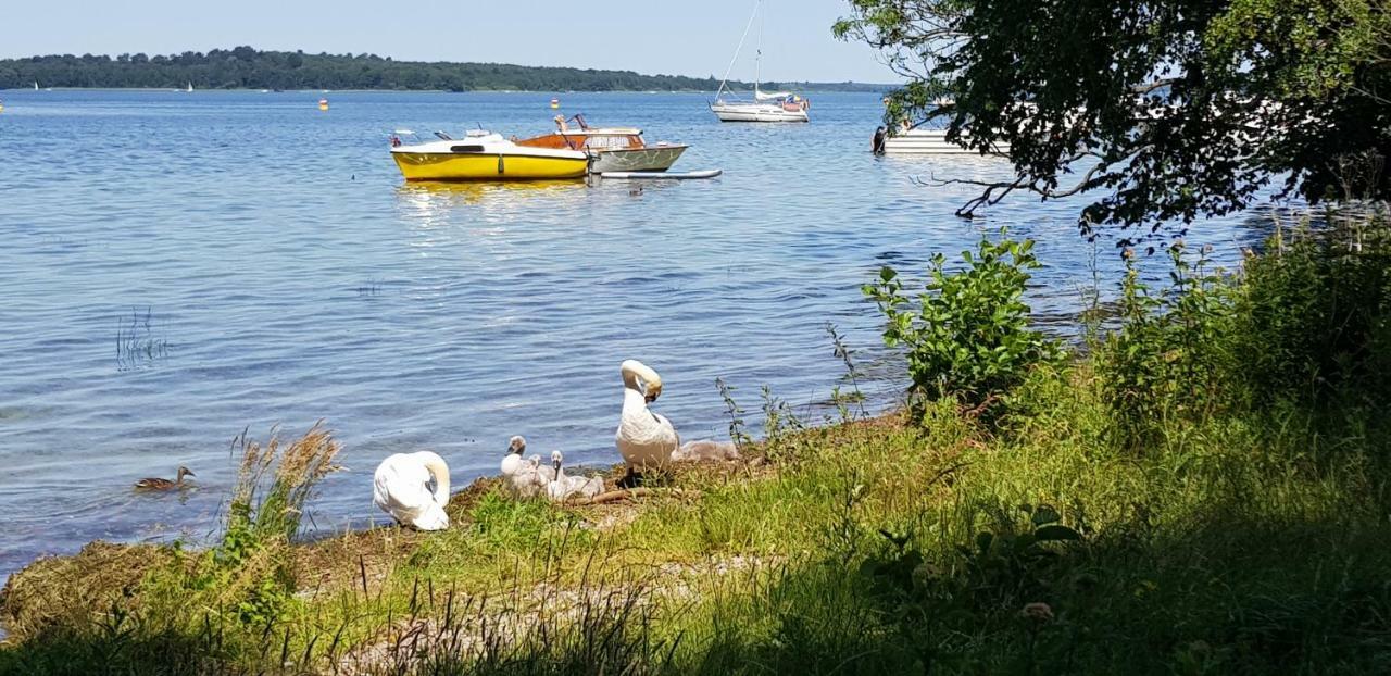 Ferienwohnung Am Schweriner See Raben Steinfeld Екстериор снимка